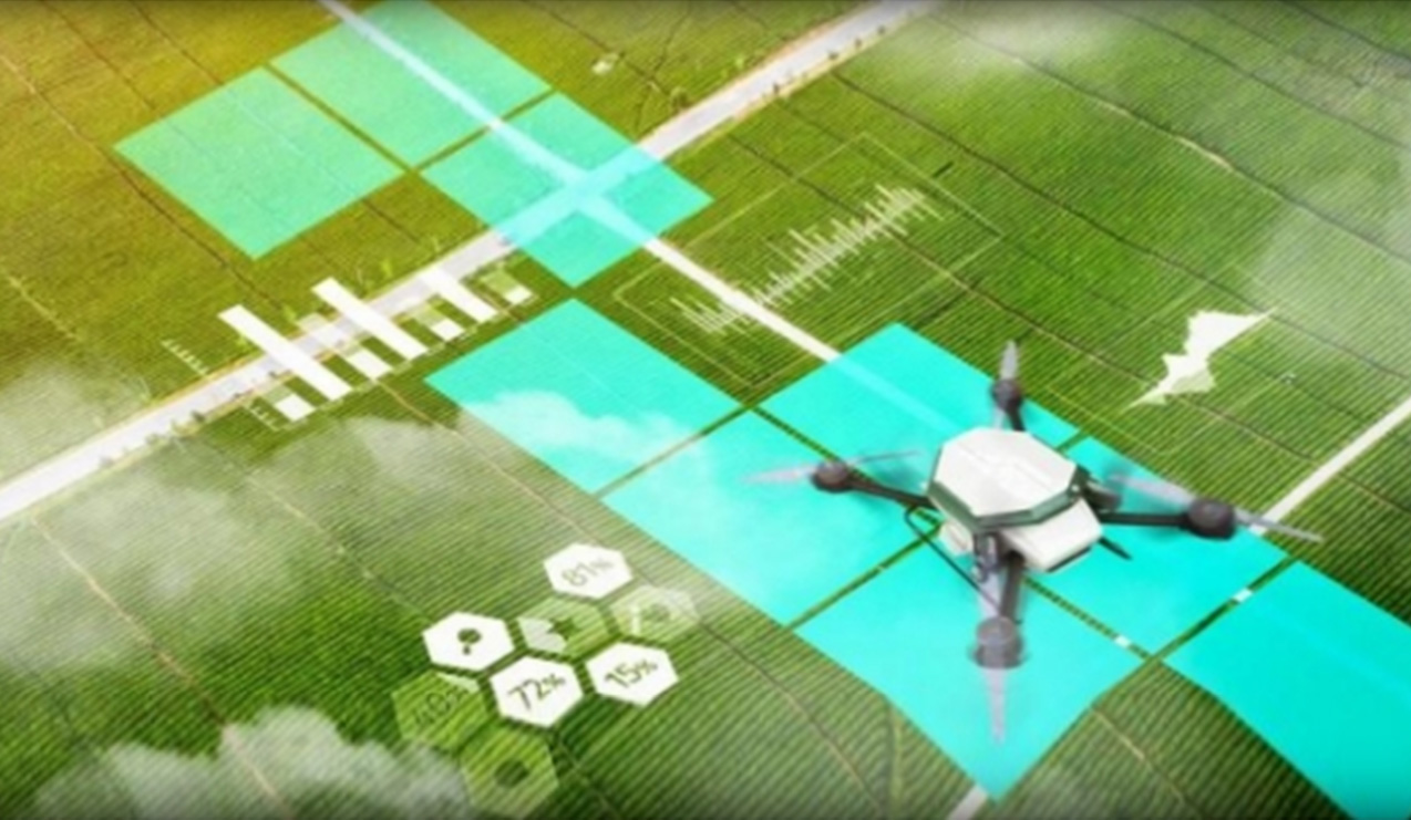 Algorithm for low-altitude control with capital regulation